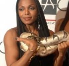 Janet Jackes at TAO holding a snake