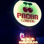 Pacha